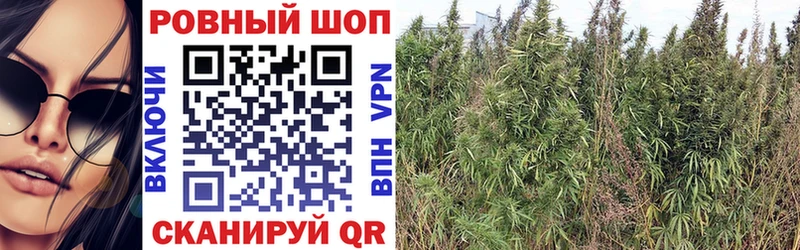 Где купить наркотики Нижняя Тура АМФ Лсд 25 Гашиш Галлюциногенные грибы Конопля Меф мяу мяу КОКАИН