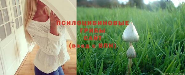 винт Абинск