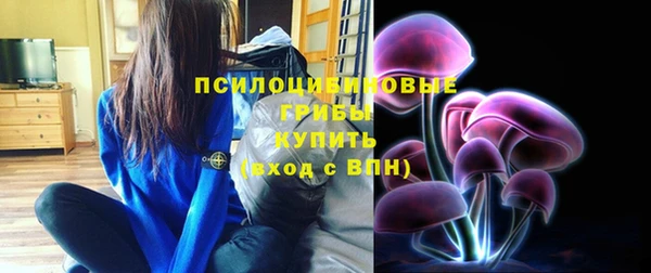 ГАЛЛЮЦИНОГЕННЫЕ ГРИБЫ Абдулино