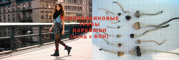 ГАЛЛЮЦИНОГЕННЫЕ ГРИБЫ Абдулино